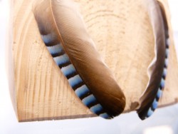 boucles d' oreilles en plumes de geai